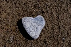 a heart-shaped rock on the ground