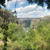 green plants in the foreground, a bridge in the background, and a cloudy blue sky above